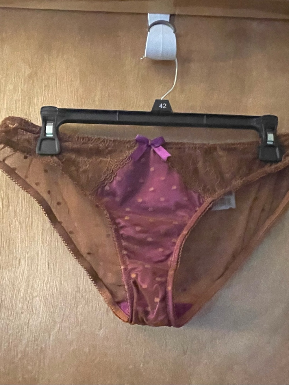 Sheer Purple Polka Dot Bikini Panty - Women